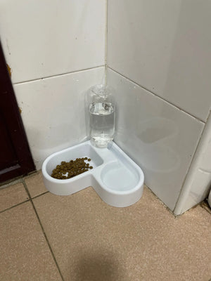 Adedb3d12476645ccbc7a23c6484a9e921.jpg